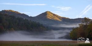 Ground Fog in Cataloochee Valley